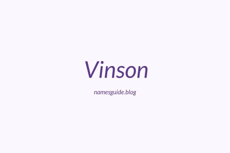 52+ Perfect Middle Names for Vinson