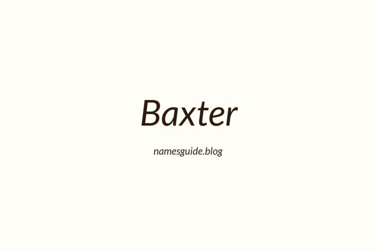 62+ Unique Middle Names for Baxter
