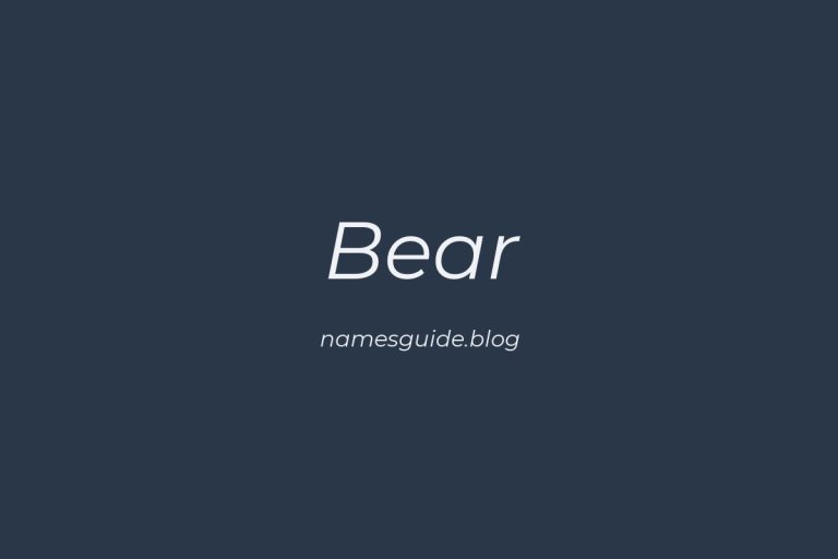 50+ Unique Middle Names for Bear