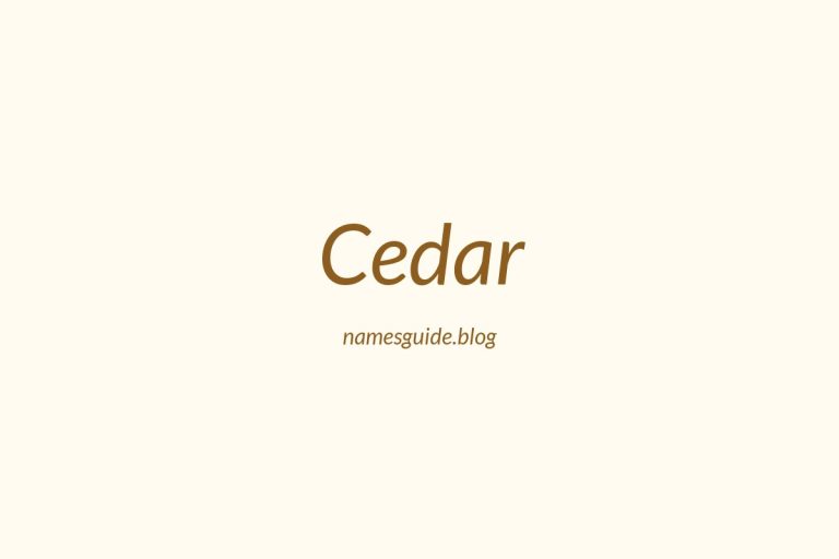 53+ Unique Middle Names for Cedar