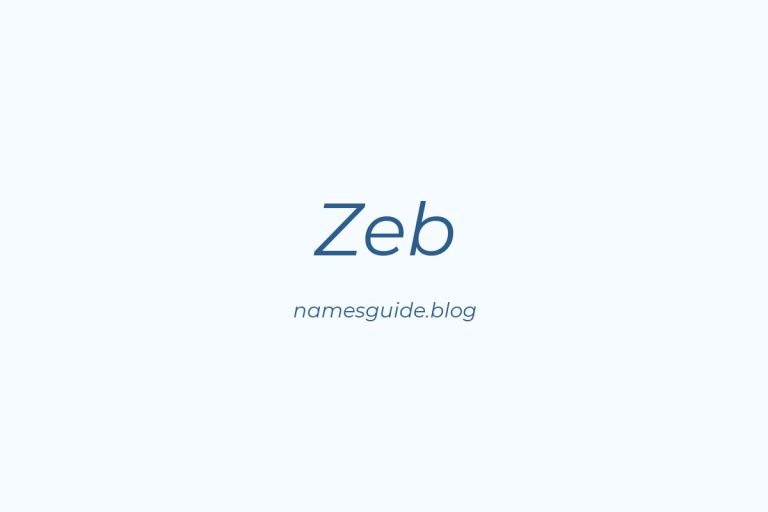 57+ Unique Middle Names for Zeb