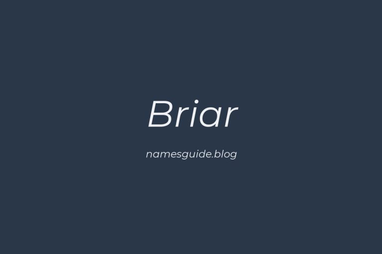 46+ Beautiful Middle Names for Briar
