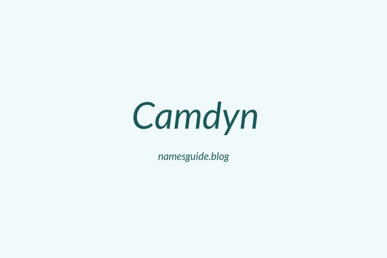 57+ Unique Middle Names for Camdyn