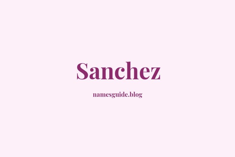 Origin and Meaning of Last Name Sanchez