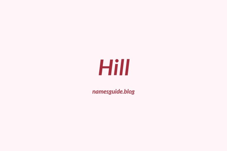 Origin and Meaning of Last Name Hill