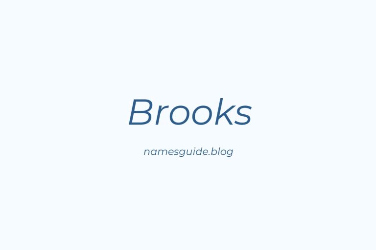 Origin and Meaning of Last Name Brooks