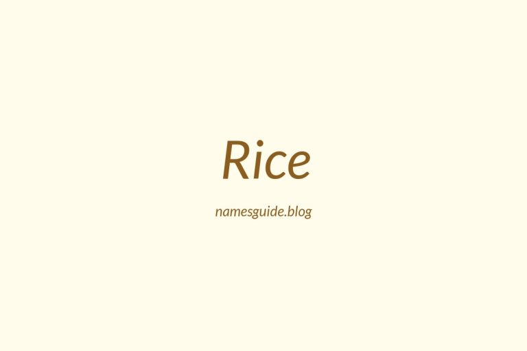 Origin and Meaning of Last Name Rice