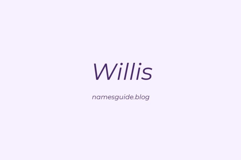 Origin and Meaning of Last Name Willis