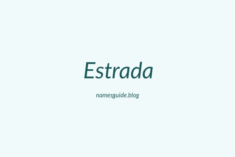Origin and Meaning of Last Name Estrada