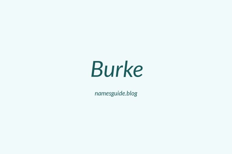 Origin and Meaning of Last Name Burke