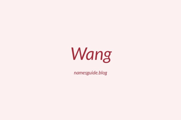 Origin and Meaning of Last Name Wang