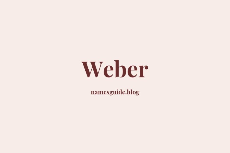 Origin and Meaning of Last Name Weber