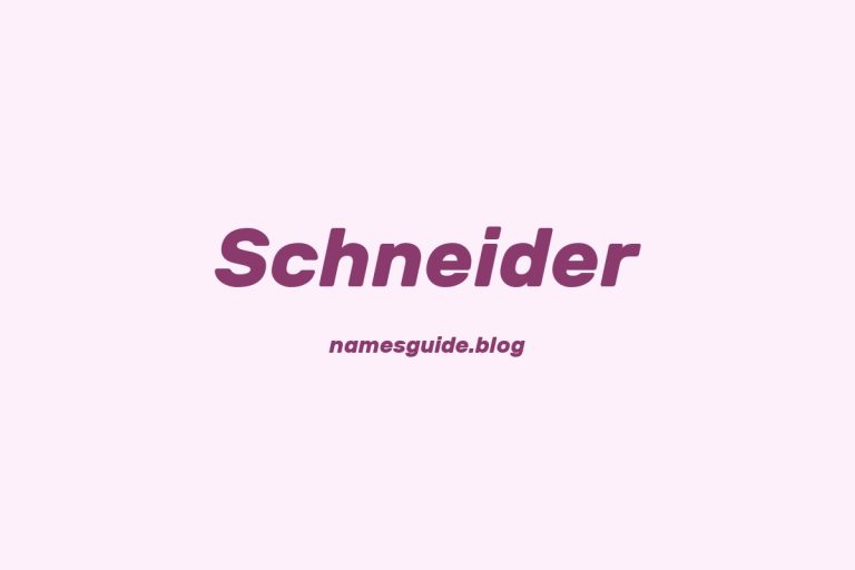 Origin and Meaning of Last Name Schneider