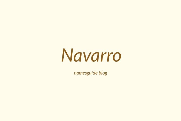 Origin and Meaning of Last Name Navarro