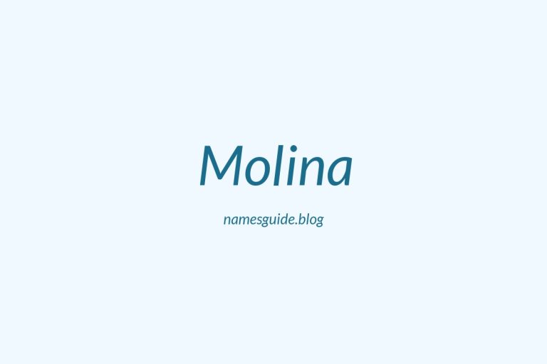 Origin and Meaning of Last Name Molina