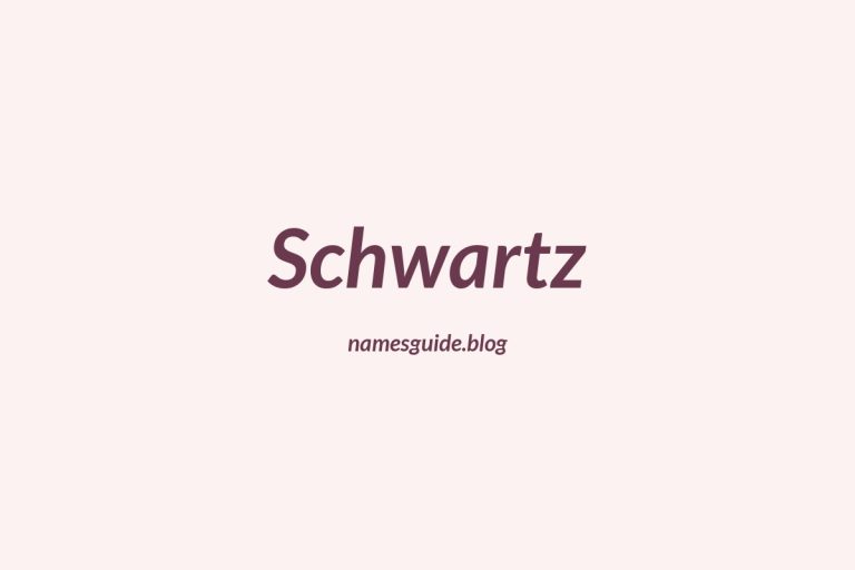 Origin and Meaning of Last Name Schwartz