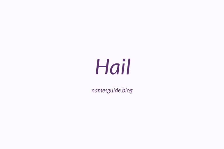 Origin and Meaning of Last Name Hail