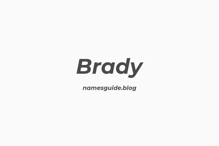 Origin and Meaning of Last Name Brady