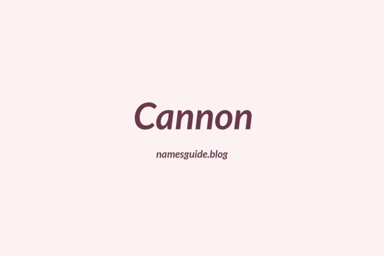 Origin and Meaning of Last Name Cannon