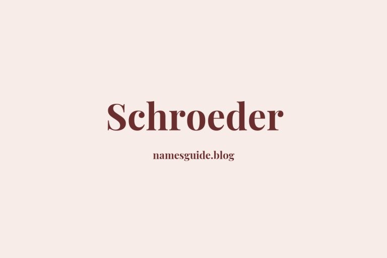 Origin and Meaning of Last Name Schroeder
