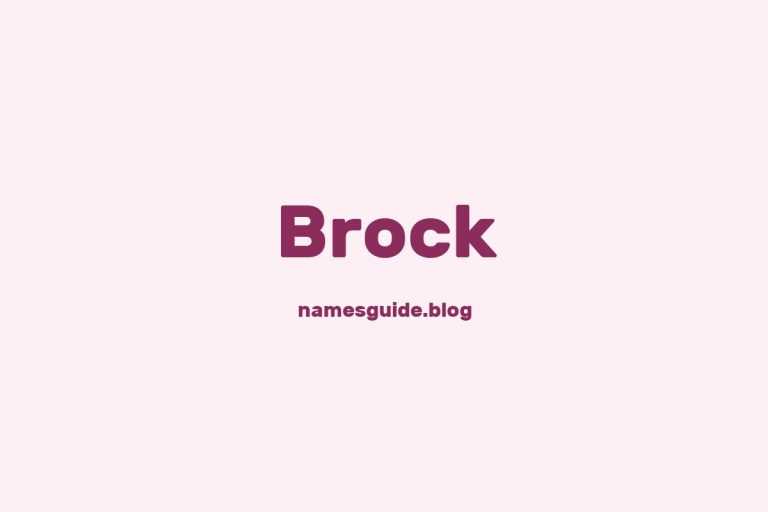 Origin and Meaning of Last Name Brock