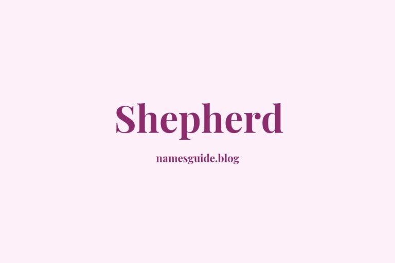 Origin and Meaning of Last Name Shepherd
