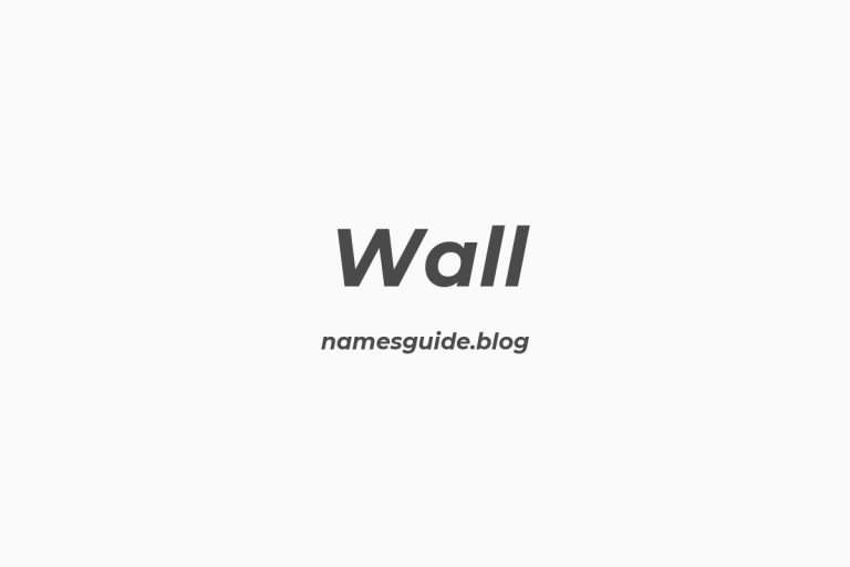 Origin and Meaning of Last Name Wall