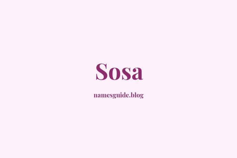 Origin and Meaning of Last Name Sosa