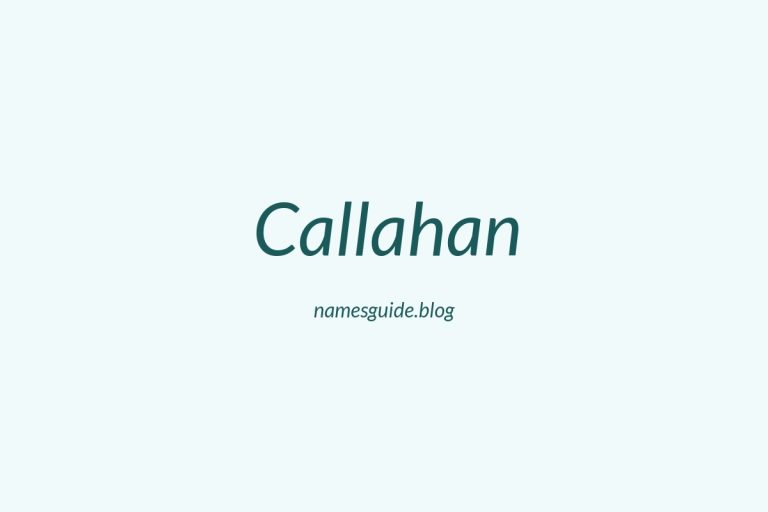 Origin and Meaning of Last Name Callahan