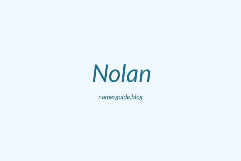 Origin and Meaning of Last Name Nolan