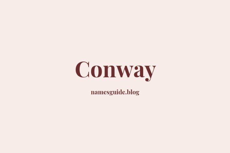 Origin and Meaning of Last Name Conway
