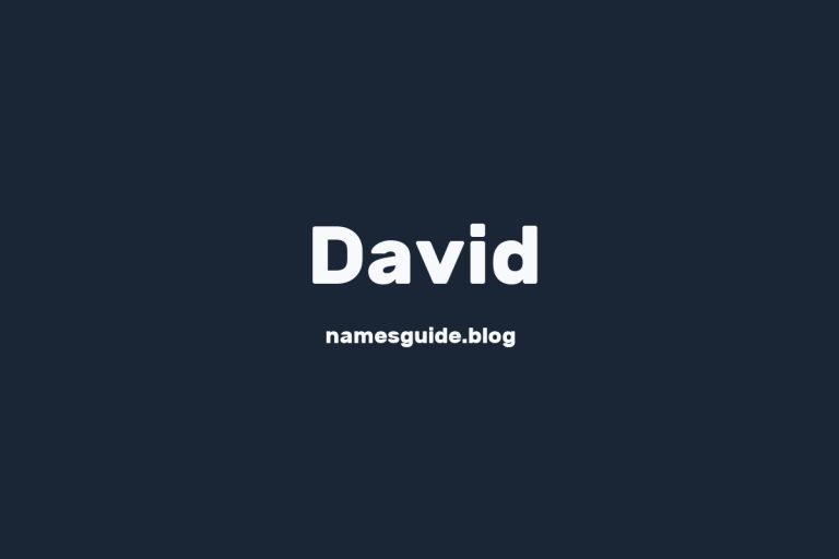 Origin and Meaning of Last Name David