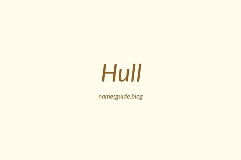 Origin and Meaning of Last Name Hull