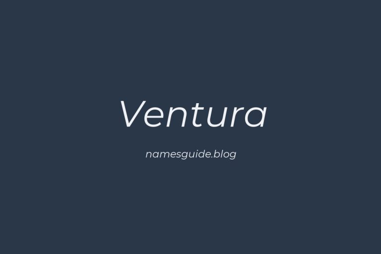 Origin and Meaning of Last Name Ventura
