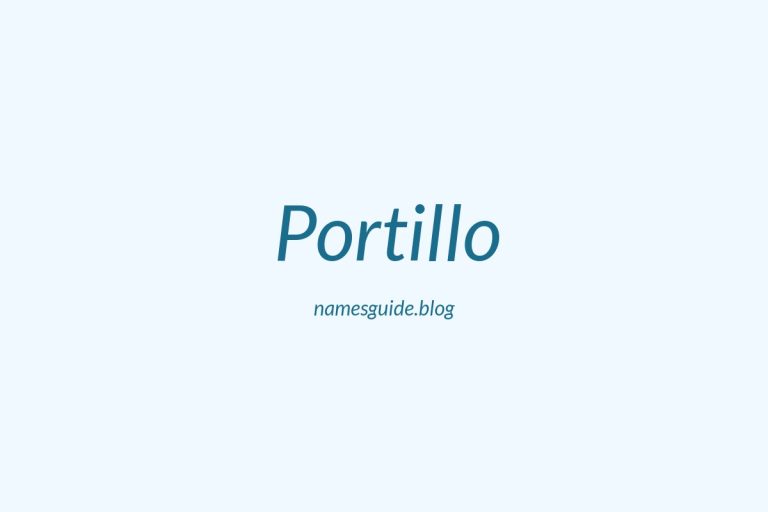 Origin and Meaning of Last Name Portillo