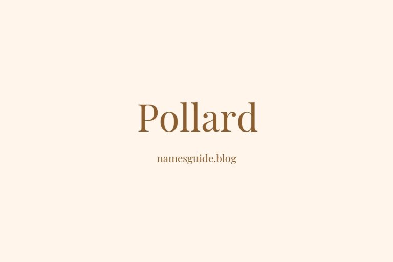 Origin and Meaning of Last Name Pollard
