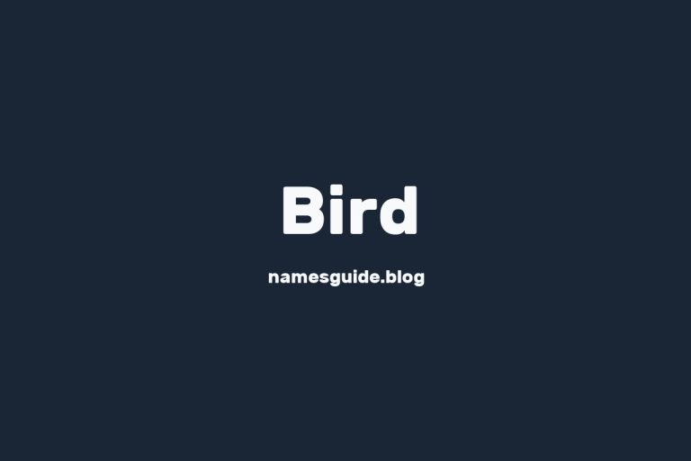 Origin and Meaning of Last Name Bird