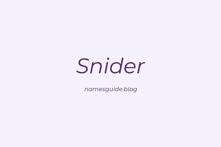 Origin and Meaning of Last Name Snider