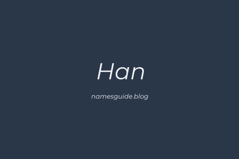 Origin and Meaning of Last Name Han