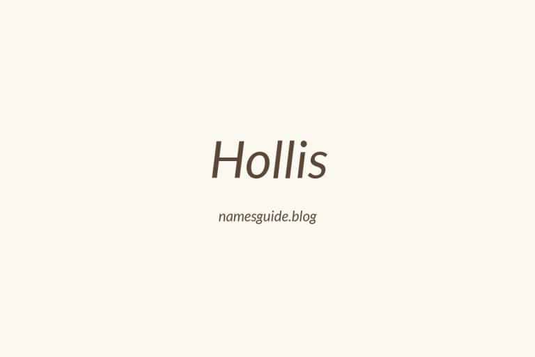 Origin and Meaning of Last Name Hollis