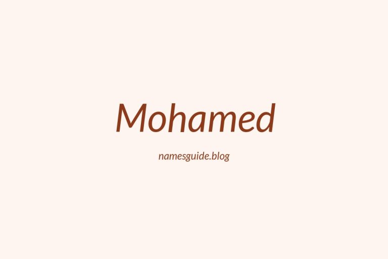 Origin and Meaning of Last Name Mohamed
