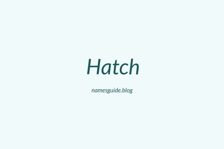 Origin and Meaning of Last Name Hatch