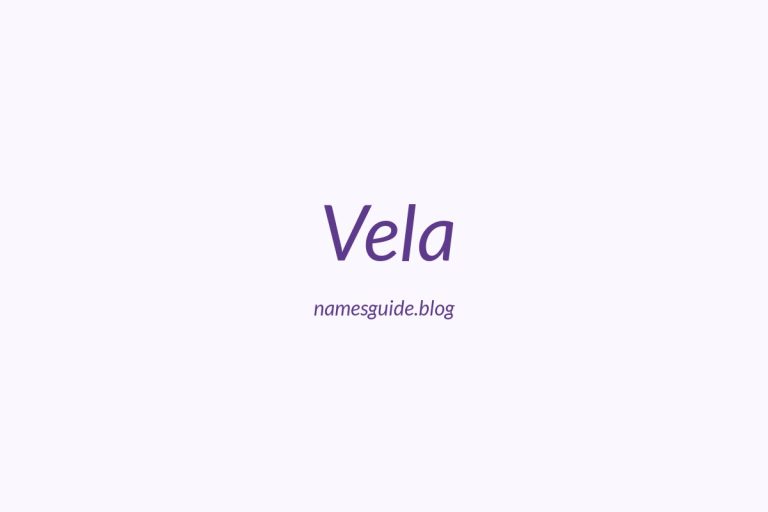Origin and Meaning of Last Name Vela