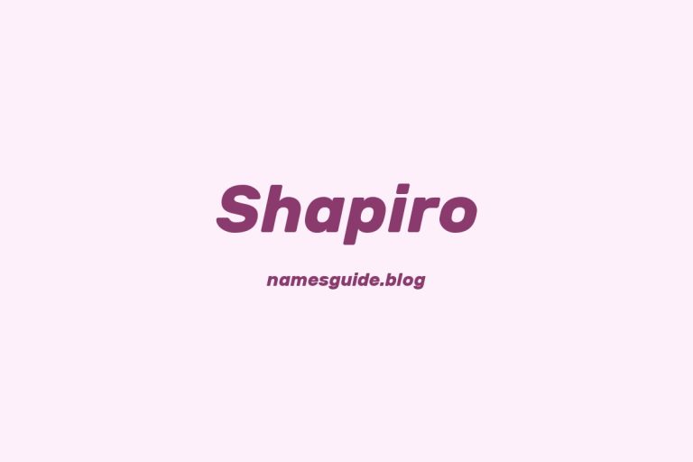 Origin and Meaning of Last Name Shapiro