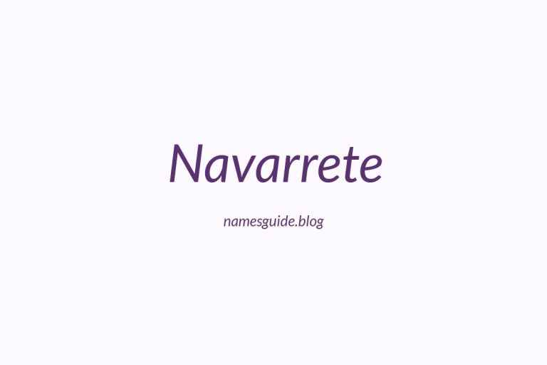 Origin and Meaning of Last Name Navarrete