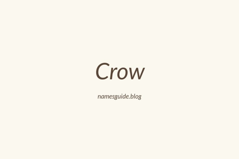 Origin and Meaning of Last Name Crow