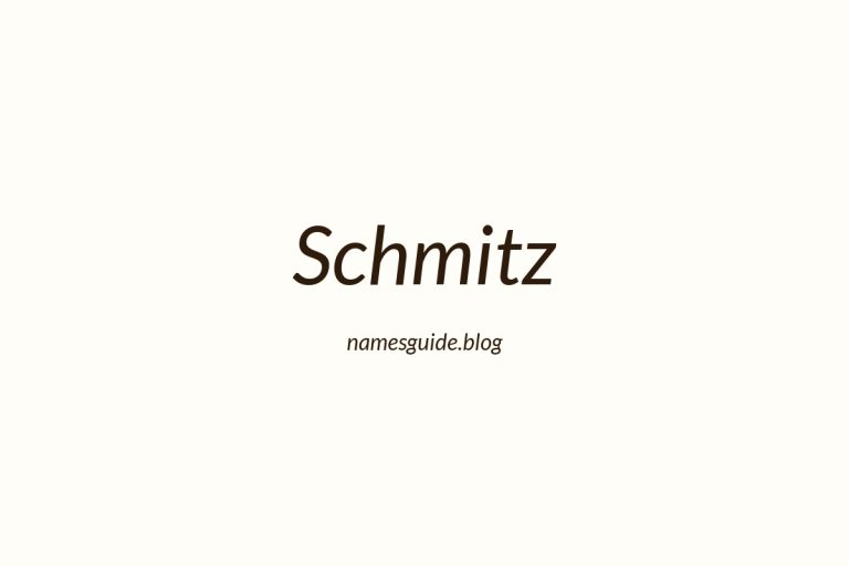Origin and Meaning of Last Name Schmitz