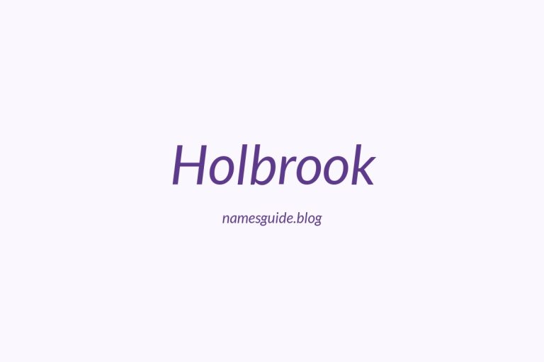 Origin and Meaning of Last Name Holbrook