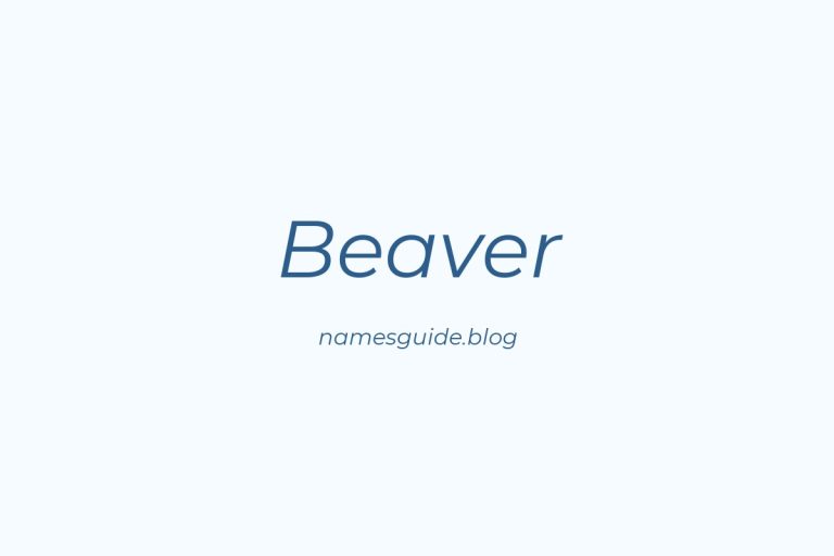 Origin and Meaning of Last Name Beaver