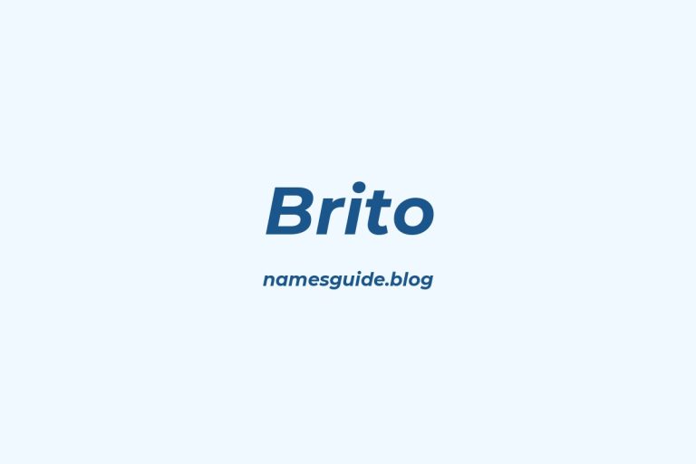 Origin and Meaning of Last Name Brito